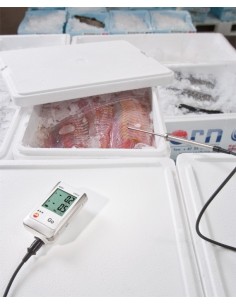 Rejestrator temperatury Testo 175-T2 2