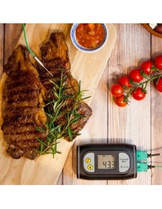 Termometr Bluetooth ThermaQ Blue 2