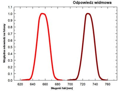 Odpowiedź widmowa 