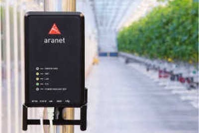 Monitorowanie temperatury i wilgotności w szklarniach przy pomocy systemu Aranet – Case Study